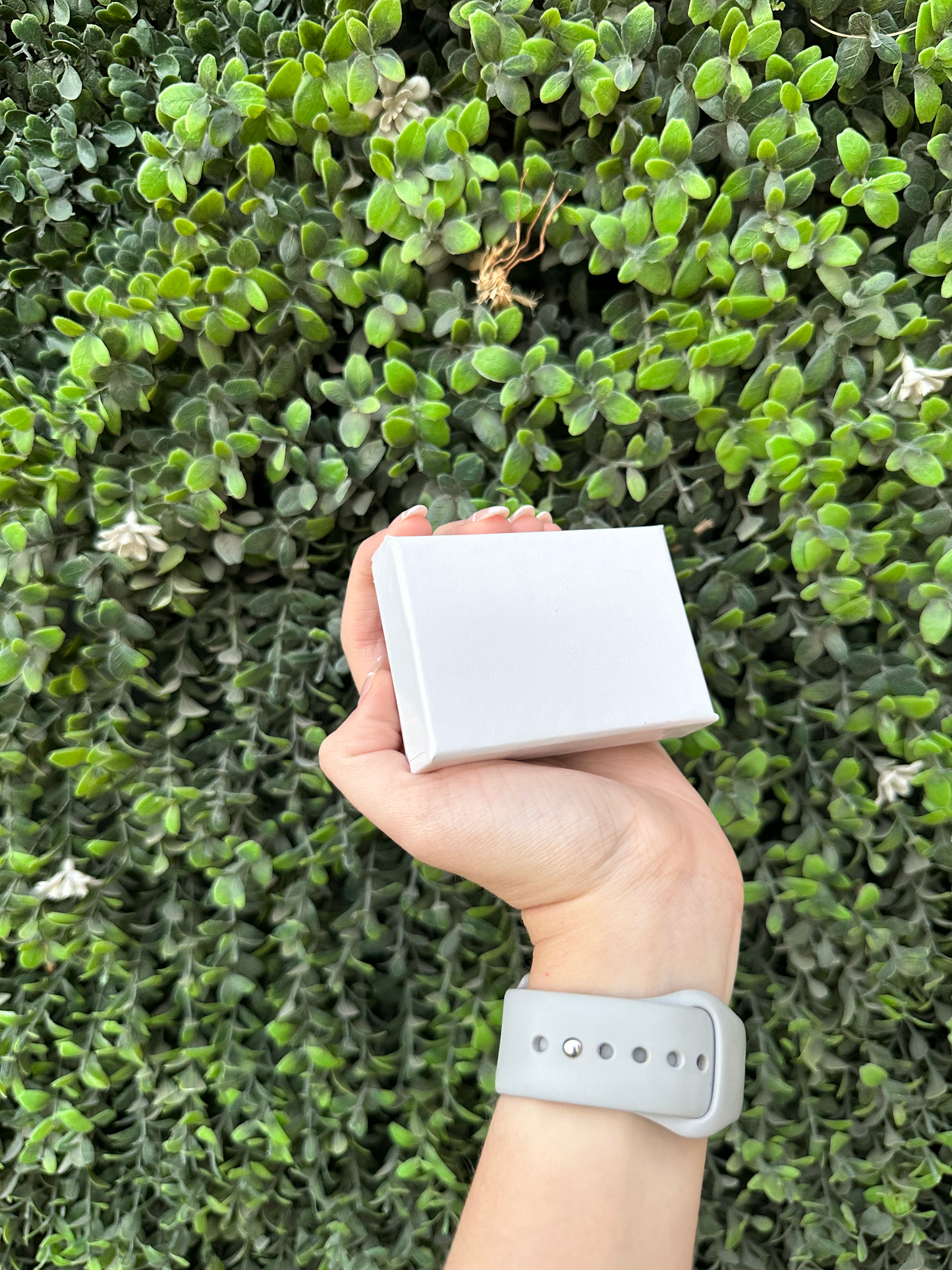 Caja Blanca para Regalo