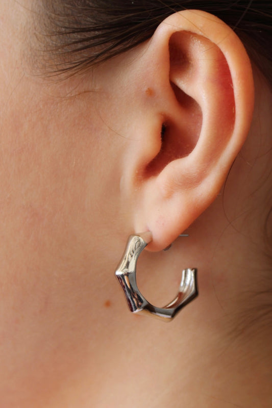 Arracadas Rodas Plateadas